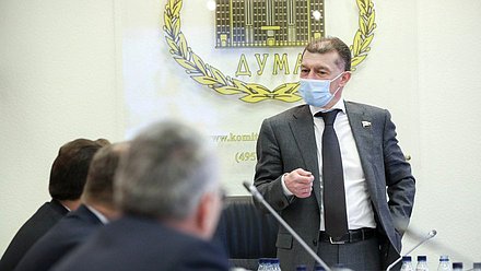 Председатель Комитета по экономической политике Максим Топилин