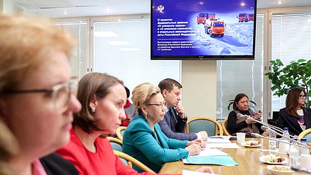 Заседание Комитета по развитию Дальнего Востока и Арктики