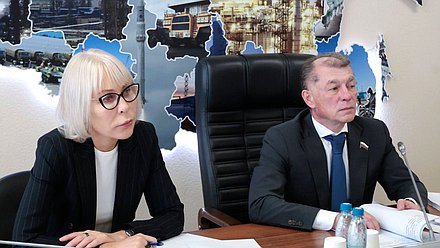 Первый заместитель Председателя Комитета по экономической политике Надежда Школкина и Председатель Комитета Максим Топилин