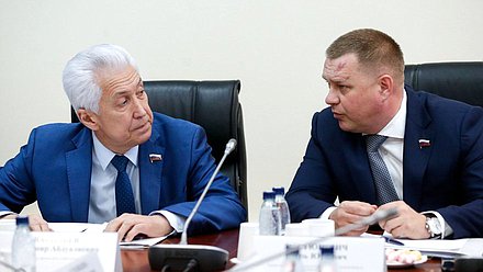 Руководитель фракции «Единая Россия» Владимир Васильев и Первый заместитель Комитета по молодежной политике Игорь Кастюкевич