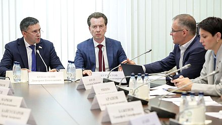 Председатель Комитета по экологии, природным ресурсам и охране окружающей среды Дмитрий Кобылкин и Первый заместитель Председателя Комитета Владимир Бурматов