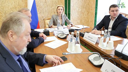 Заседание Комитета по развитию гражданского общества, вопросам общественных и религиозных объединений