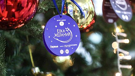 Всероссийская новогодняя благотворительная акция «Елка желаний»