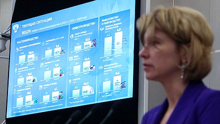 Пленарное заседание. "Правительственный час" (12.11.2025)