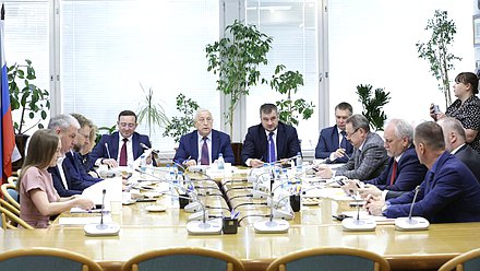 Заседание Комитета по развитию Дальнего Востока и Арктики
