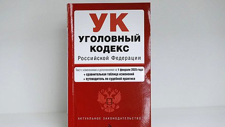 уголовный кодекс