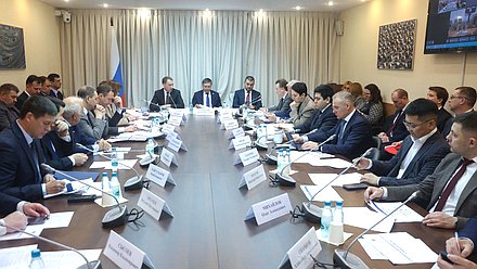 Заседание Комитета по экологии, природным ресурсам и охране окружающей среды с участием Министра природных ресурсов и экологии РФ Александра Козлова