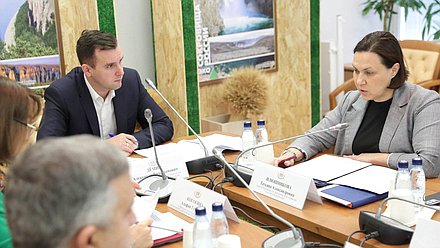 Председатель Комитета по малому и среднему предпринимательству Александр Демин и заместитель Министра экономического развития РФ Татьяна Илюшникова