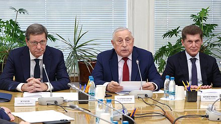 Заместитель Председателя Государственной Думы Александр Жуков, Председатель Комитета по развитию Дальнего Востока и Арктики Николай Харитонов и кандидат на должность заместителя Председателя Правительства РФ – Полномочного представителя Президента РФ в ДФО Олег Кожемяко
