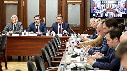 Заседание Комитета по охране здоровья с участием Министра здравоохранения РФ Михаила Мурашко