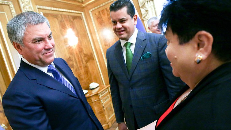 Председатель Государственной Думы Вячеслав Володин и Председатель Палаты депутатов Генерального Конгресса Мексиканских Соединенных Штатов Эдгар Ромо Гарсиа