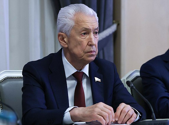 Руководитель фракции "Единая Россия" Владимир Васильев