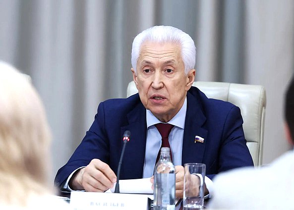 Руководитель фракции «Единая Россия» Владимир Васильев