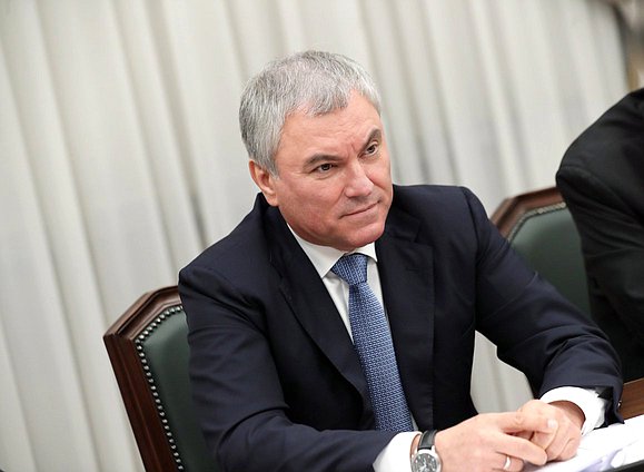 Председатель Государственной Думы Вячеслав Володин