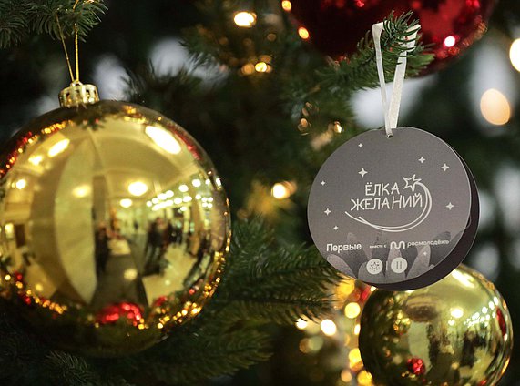 Всероссийская новогодняя акция «Елка желаний — 2025»