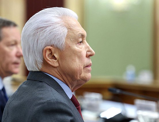 Руководитель фракции "Единая Россия" Владимир Васильев