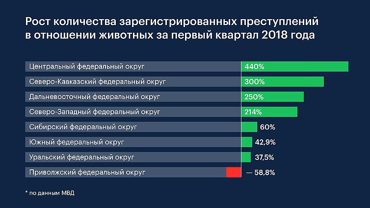 Статистика жестокого обращения с животными