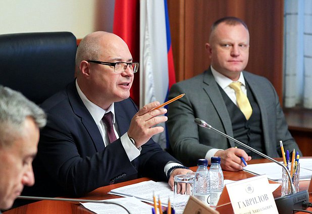 Председатель Комитета по вопросам собственности, земельным и имущественным отношениям Сергей Гаврилов