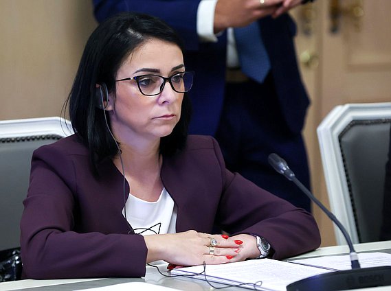 First meeting of the Commission on Cooperation between the State Duma and the National Assembly of the Republic of Srpska (Bosnia and Herzegovina)