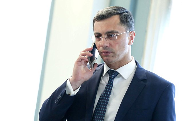 Первый заместитель Председателя Комитета по экономической политике, промышленности, инновационному развитию и предпринимательству Владимир Гутенев