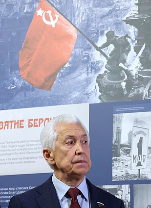 Руководитель фракции "Единая Россия" Владимир Васильев