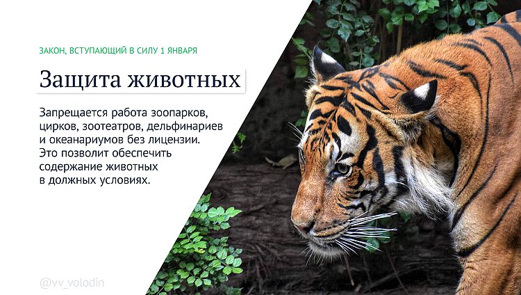 законы января