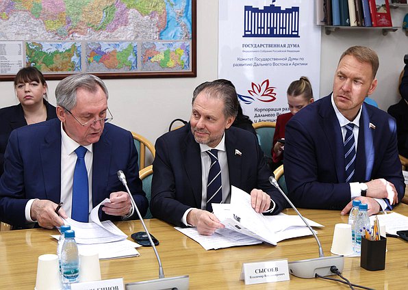 Председатель Комитета по энергетике Николай Шульгинов, Председатель Комитета по охране здоровья Владимир Сысоев и член Комитета по развитию Дальнего Востока и Арктики Кирилл Тихонович