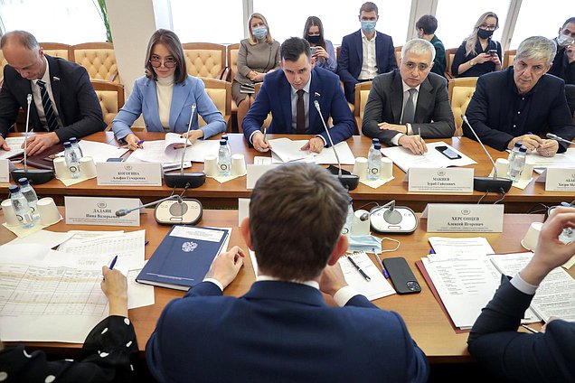 Заседание Комитета по малому и среднему предпринимательству