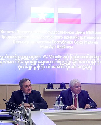 Chairman of the Committee on Energy Nikolay Shulginov and First Deputy Chairman of the Committee on International Affairs Alexey Chepa