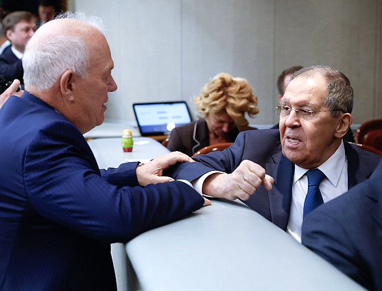 Заместитель Председателя Комитета по экологии, природным ресурсам и охране окружающей среды Анатолий Грешневиков и Министр иностранных дел РФ Сергей Лавров