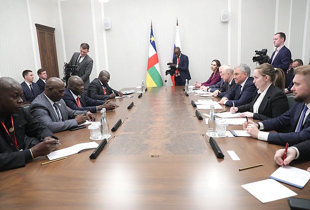 国家杜马主席与中非共和国国民议会主席举行会晤