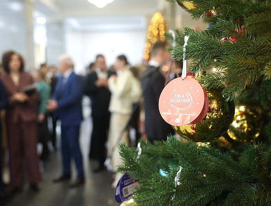 Всероссийская новогодняя акция «Елка желаний — 2025»