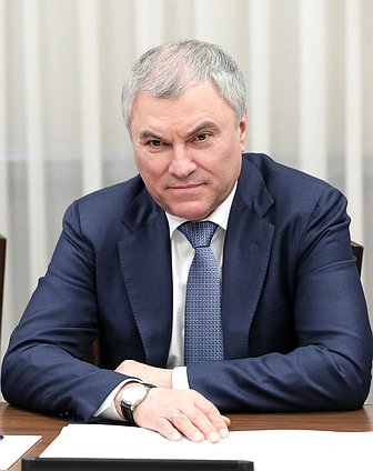 Председатель Государственной Думы Вячеслав Володин