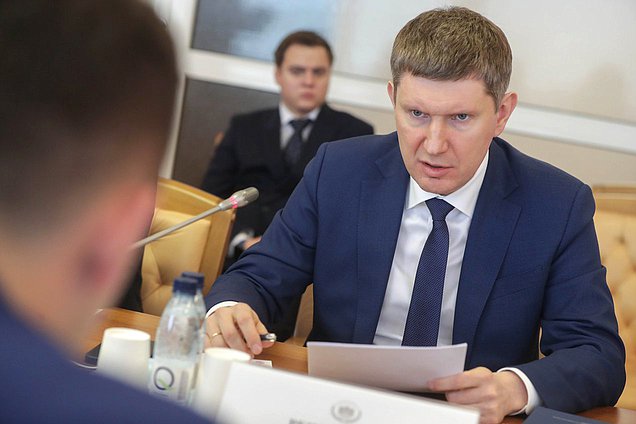 Министр экономического развития РФ Максим Решетников