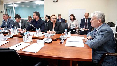 Заседание Комитета по энергетике