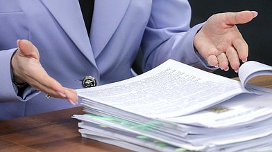 Совместное заседание Экспертного совета Комитета по экологии, природным ресурсам и охране окружающей среды и межфракционной рабочей группы "Байкал"