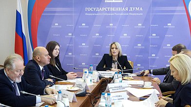 Заседание Комитета по развитию гражданского общества, вопросам общественных и религиозных объединений