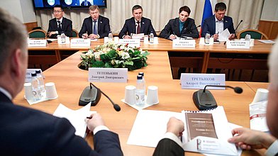 Круглый стол Комитета по экологии и охране окружающей среды на тему «О формировании в РФ системы аудита запасов полезных ископаемых»