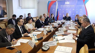 Заседание Комитета по развитию гражданского общества, вопросам общественных и религиозных объединений