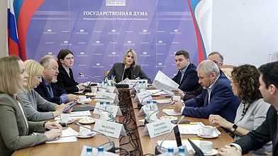 Заседание Комитета по развитию гражданского общества, вопросам общественных и религиозных объединений