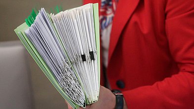 Рабочее совещание Комитета по развитию гражданского общества, вопросам общественных и религиозных объединений