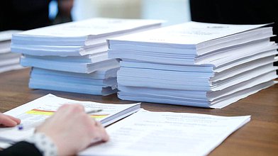 Заседание Комитета по труду, социальной политике и делам ветеранов