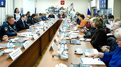 Круглый стол Комитета по защите семьи, вопросам отцовства, материнства и детства на тему «Проблемы деструктивного и аутодеструктивного поведения в современной подростково-молодежной среде»