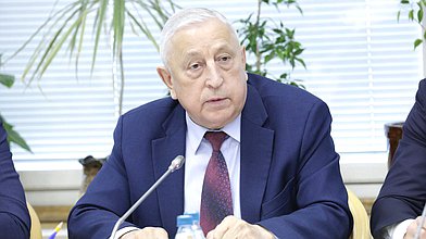 Заседание Комитета по развитию Арктики и Дальнего Востока