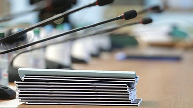 Заседание Комитета по защите семьи, вопросам отцовства, материнства и детства