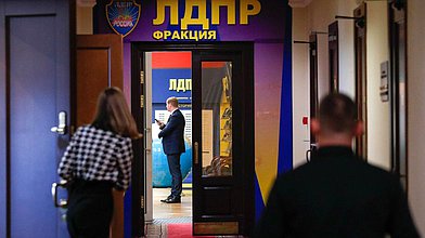 Круглый стол фракции ЛДПР на тему "Законодательное регулирование исторического просвещения молодежи: сохраняя память о Великой Отечественной войне"