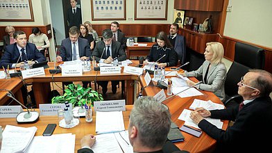 Заседание Комитета по развитию гражданского общества, вопросам общественных и религиозных объединений