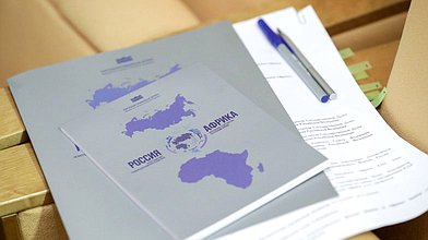 Заседание экспертного совета по вопросам развития и поддержки всестороннего партнерства со странами Африки