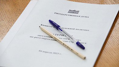 Круглый стол Комитета по молодежной политике на тему «Социализация иностранных студентов: проблемы и решения»