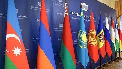 Встреча депутатов фракции "Справедливая Россия" с депутатами Парламента Республики Южная Осетия в рамках конференции "Роль взаимодействия фракций политических партий и блоков в межпарламентском сотрудничестве стран СНГ"